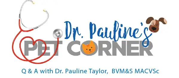 paulineheader.webp (11 KB)